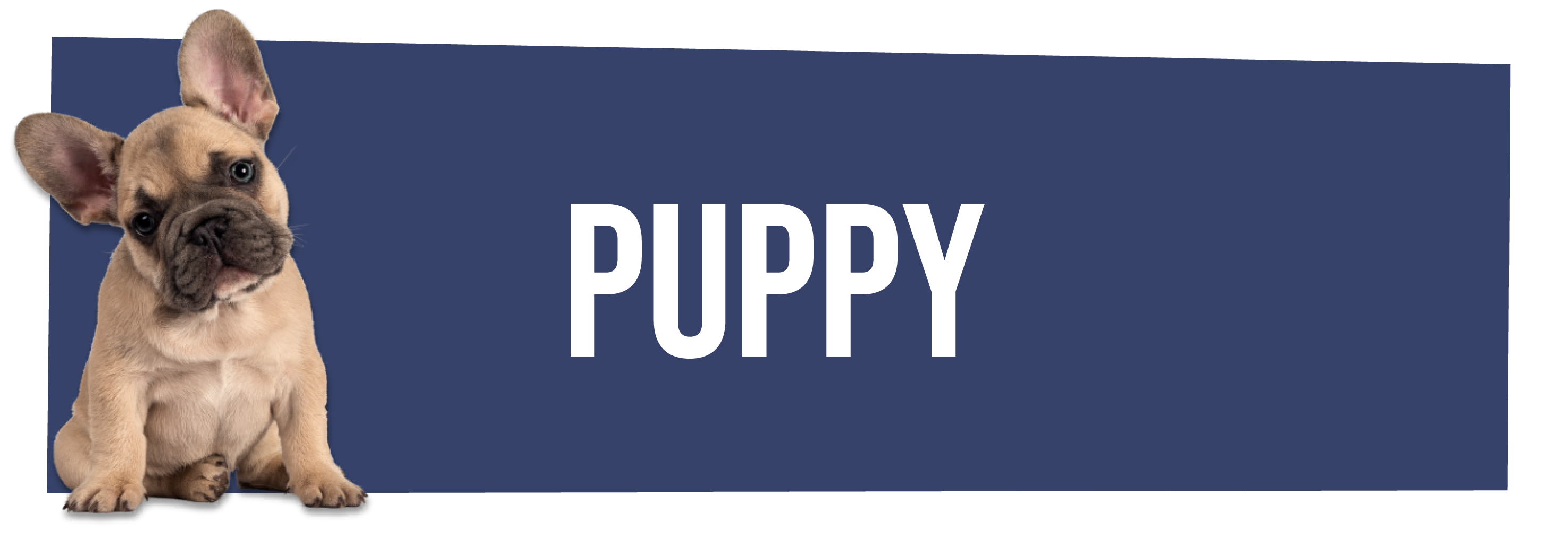Puppyvoer